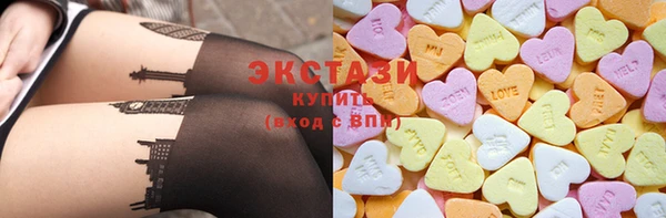 шишки Няндома