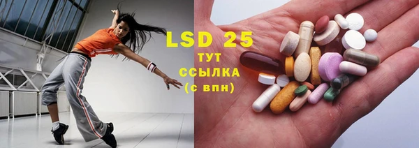 шишки Няндома
