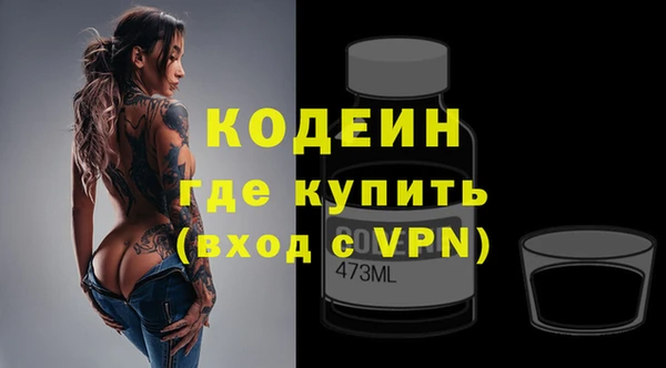 шишки Няндома
