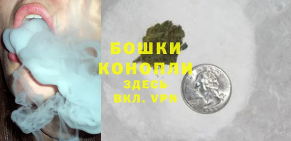 шишки Няндома