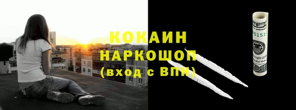 шишки Няндома