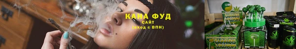 соль ск Новодвинск