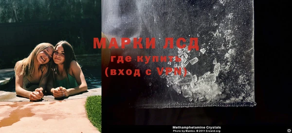 стафф Новокубанск