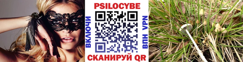где купить наркоту  Белоозёрский  Псилоцибиновые грибы Psilocybine cubensis 